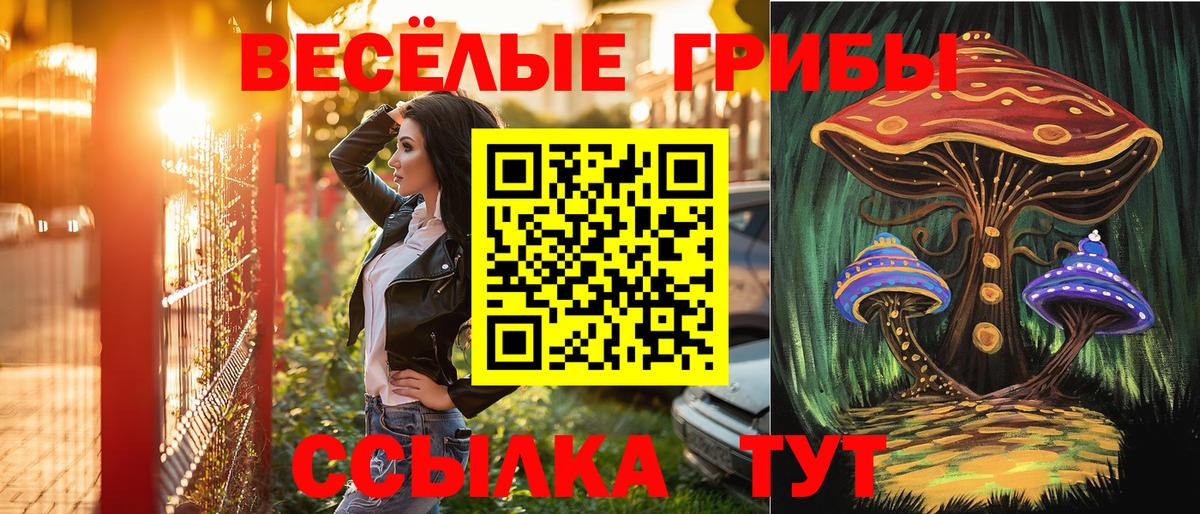 Сокол  Псилоцибиновые грибы GOLDEN TEACHER  Вход с VPN 