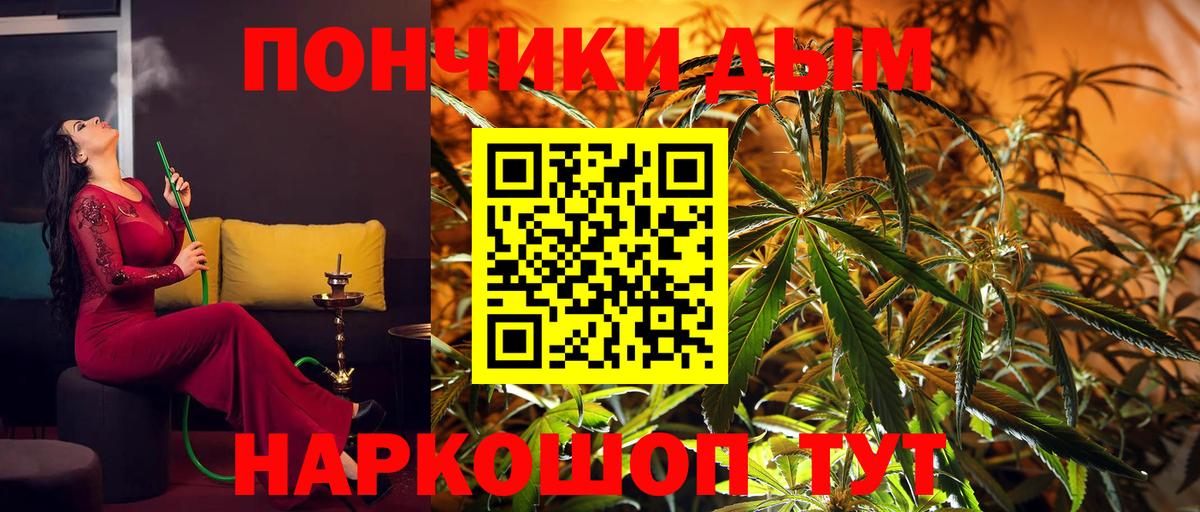 Канабис White Widow  Вход с VPN  Сокол  Канабис Bruce Banner  Конопля конопля 